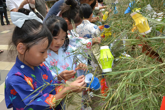 日本に願い届け　ＪＪＳで七夕祭り　小学部１年幼稚部