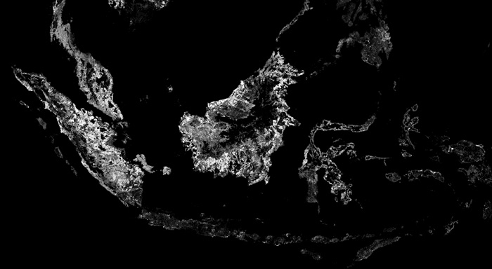 森林破壊、世界最速　衛星画像にくっきり　米研究者ら発表 イ政府は否定 