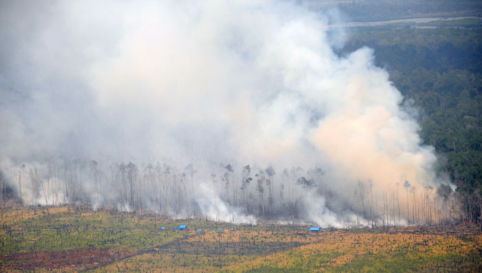 森林８０００ヘクタール焼失　首都発便、バタムに一時着陸　リアウ州