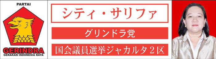 【総選挙ジャカルタ２区密着】候補必死、生き方、考え、訴え 