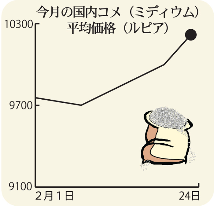 コメ価格が高止まり　流通体制見直しへ　政府、安価で供給