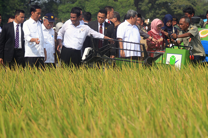 大統領　インドラマユを視察　洪水被害やコメ収穫