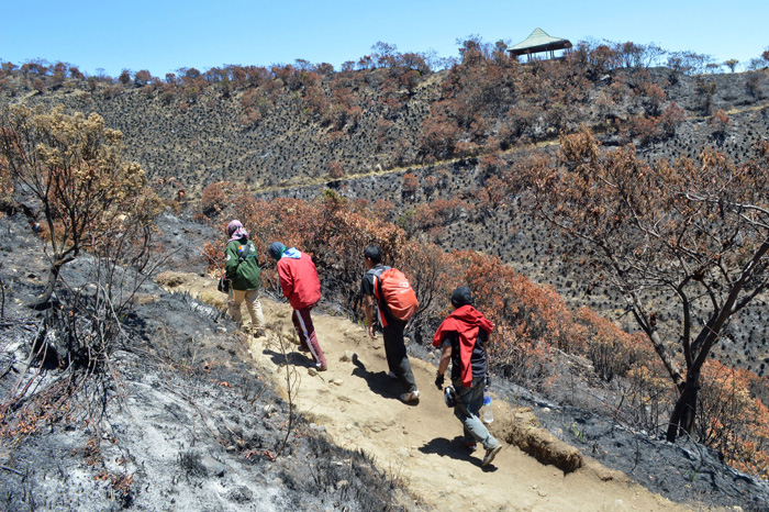 登山客７人死亡　ラウ山森林火災