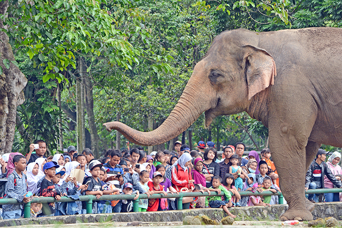 「ピッ」と簡単入園　ラグナン動物園に電子マネー