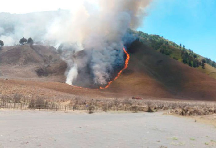 ブロモ山火災鎮火　263高温地点、65㌶焼く