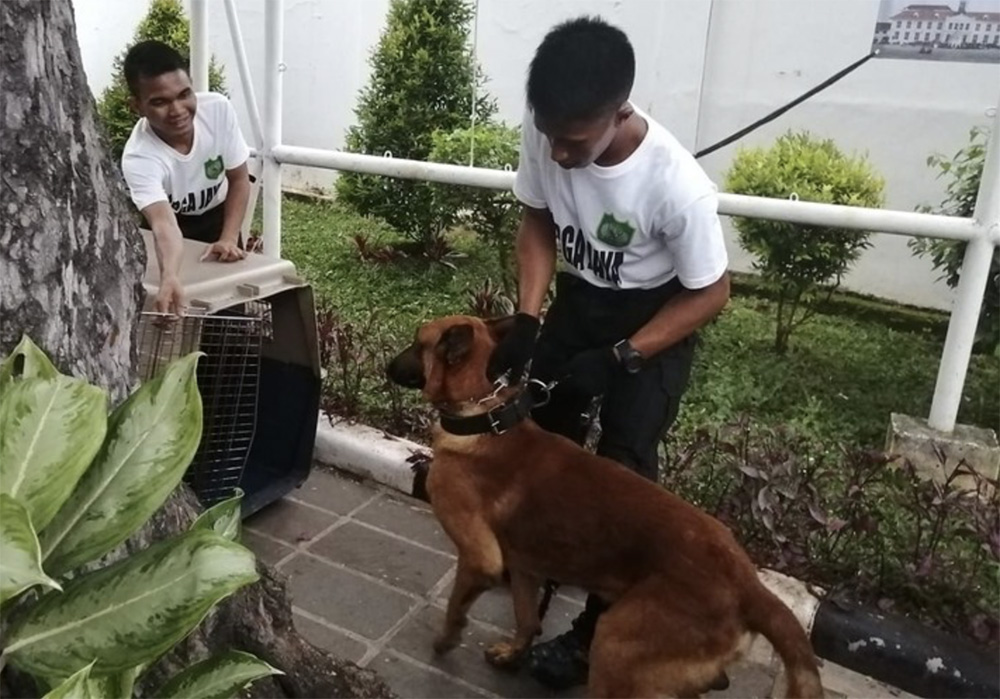 ▼テロ警備に愛犬どうぞ