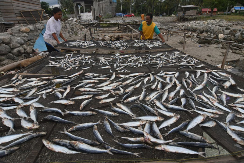 干し魚の生産減