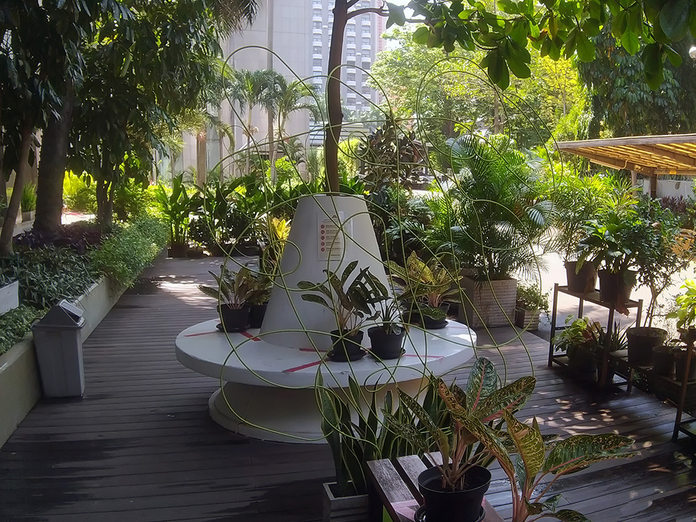 植木鉢がもたらす効果