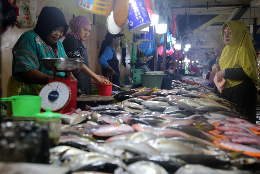 ▼魚の価格が高騰