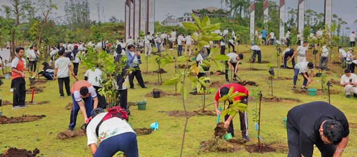 ▼『自然の肖像』書籍 