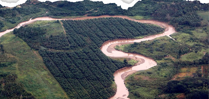 アチェ洪水、森林破壊が原因　ＷＡＬＨＩ「国家の環境保護失敗による生態系災害」