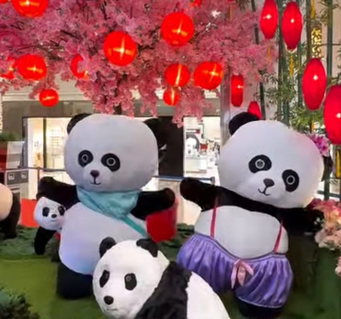 ▼リトルパンダ・パレード
