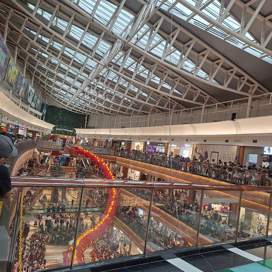 ▼獅子舞パフォーマンス