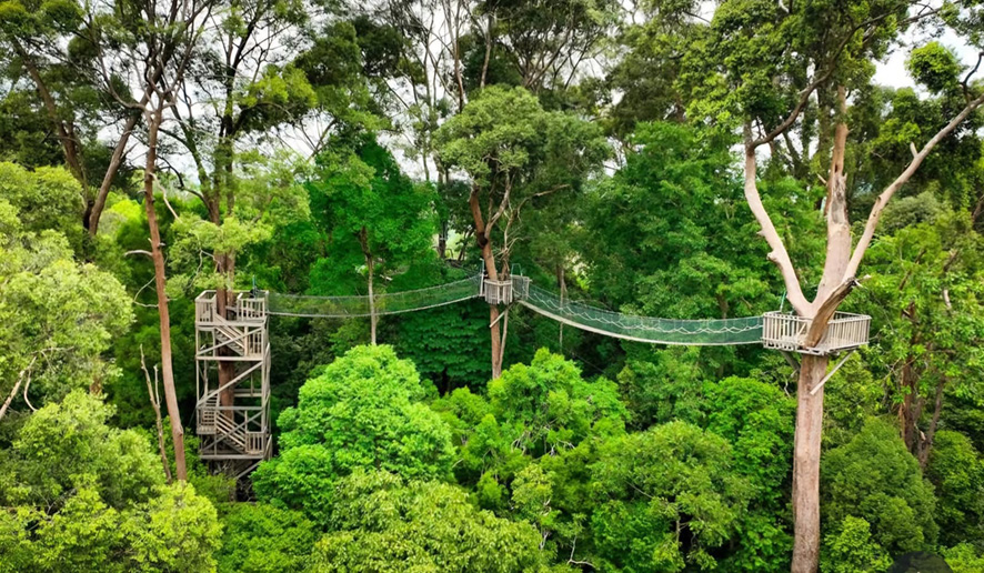 ▼ブキット・バンキライ 